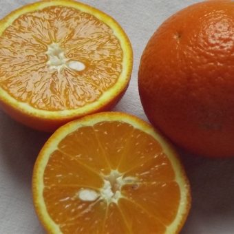karnemelk-sinaasappeldrankje_2