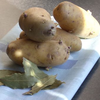 zweedse-aardappeltjes_2