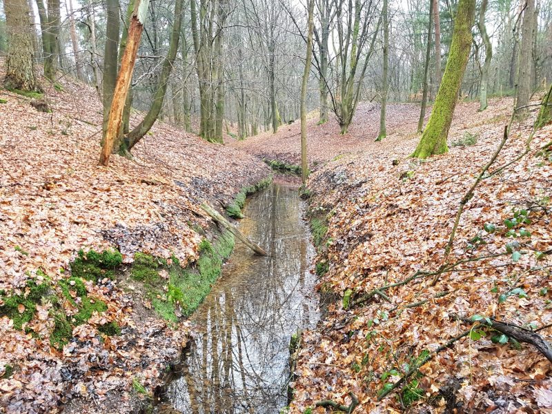 De week van Riejanne 8 2017