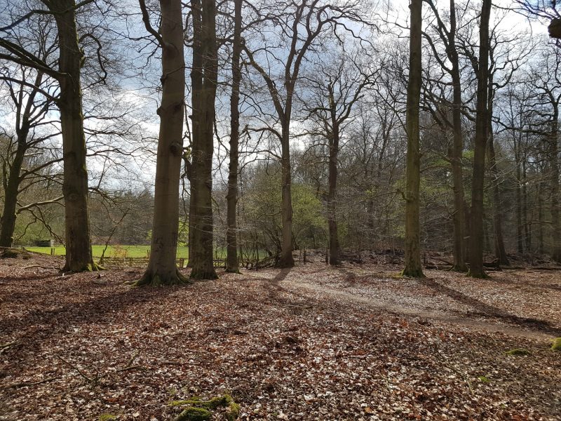 De week van Riejanne 13 2017